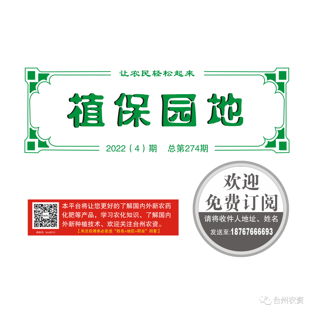 氣溫驟降，大棚西瓜做好以下幾點工作