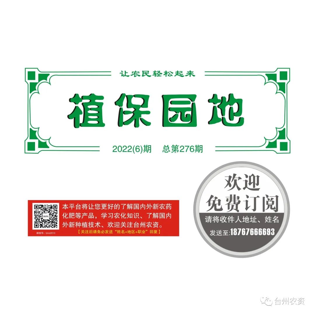 梅雨季節(jié)來臨，柑橘即將穩(wěn)果，注意管理好夏梢，合理施肥打藥
